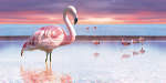 Плитка Ceramica Classic Flamingo Россия Разноцветный Настенная, напольная Flamingo Панно 50x100